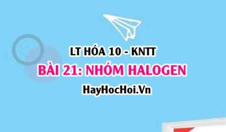 Tính chất hóa học, tính chất vật lí của Halogen? Trạng thái tự nhiên, Cấu tạo nguyên tử Halogen? Hóa 10 bài 21 KNTT